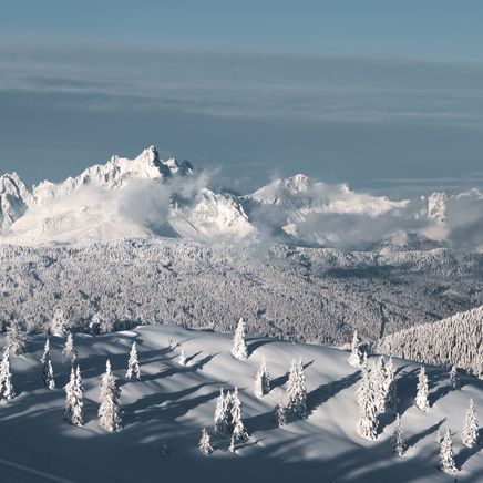 Vaste panorama de montagnes enneigées et de forêts de conifères sous un ciel bleu et quelques nuages, avec des ombres portées.