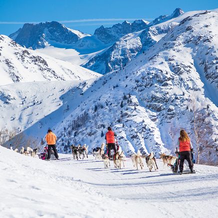 Vous cherchez une activité dépaysante pour vos vacances d’hiver ? Pourquoi ne pas vous laisser tenter par une balade en chiens de traîneau ? De nombreux prestataires partagent leur amour des animaux et font découvrir de sublimes paysages dans les Alpes, les Pyrénées, le Jura, etc.  Découvrez plus en détail les activités autour des chiens de traîneau à la montagne et les stations emblématiques pour vivre une expérience façon « Grand Nord ».