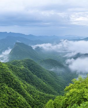 Top 5 best mountain resorts in summer for families