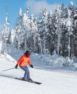 Knowing the basics for skiing