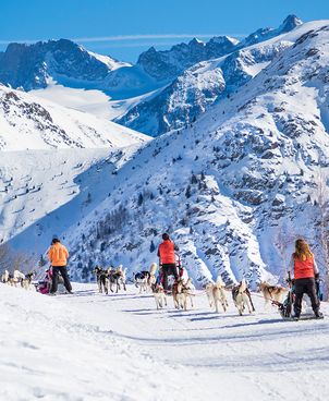 Dog sledding: live a unique experience in the mountains