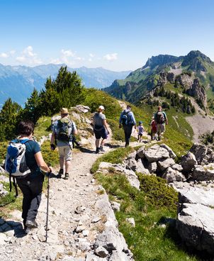 What unusual activities can you do in the mountains in summer?